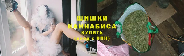 ПСИЛОЦИБИНОВЫЕ ГРИБЫ Елабуга