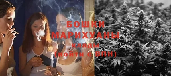 mdpv Ельня