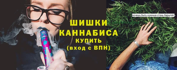 mdpv Ельня