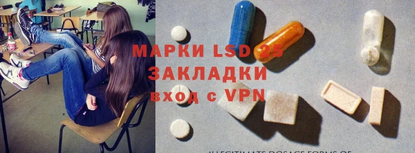 ПСИЛОЦИБИНОВЫЕ ГРИБЫ Елабуга