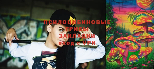 ПСИЛОЦИБИНОВЫЕ ГРИБЫ Елабуга
