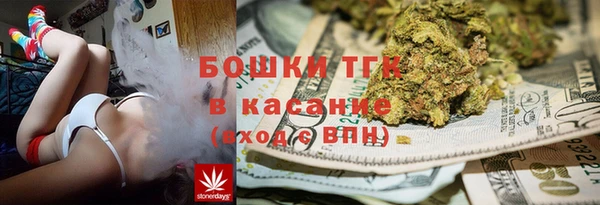 mdpv Ельня