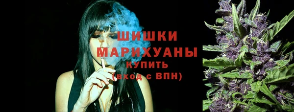 mdpv Ельня